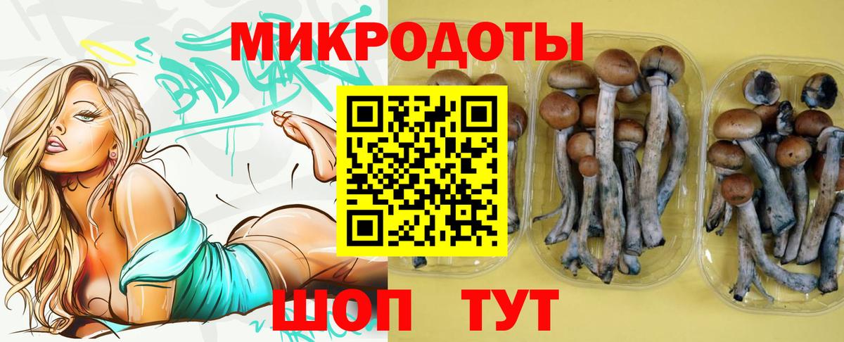 Псилоцибиновые грибы мицелий  Галлюциногенные грибы Psilocybe  Вход с VPN  хочу наркоту  Усть-Кут 