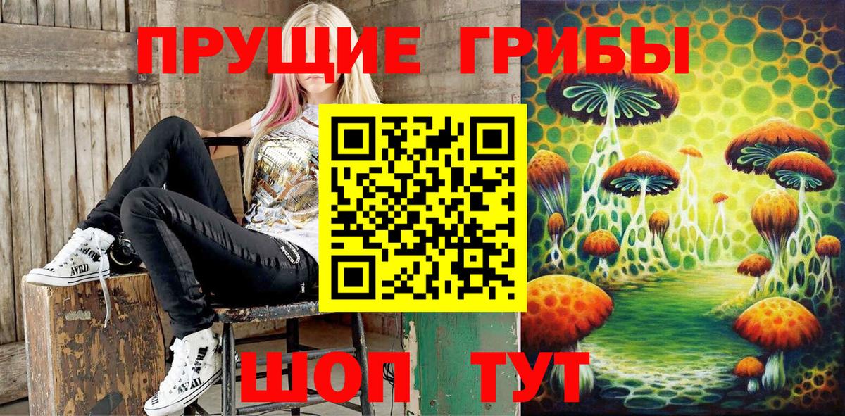 Псилоцибиновые грибы мицелий Усть-Кут